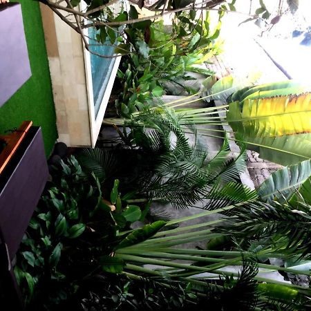 塞米亚克 库布基纳克旅馆酒店 外观 照片